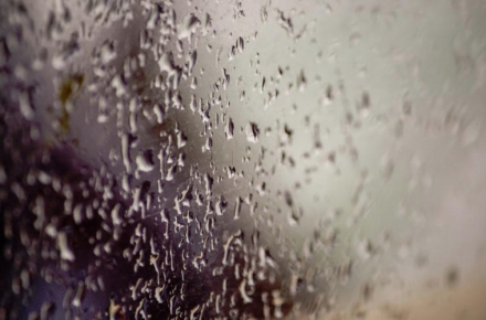 Understanding the Ideal indoor Humidity