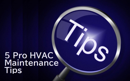 5 Pro HVAC Maintenance Tips